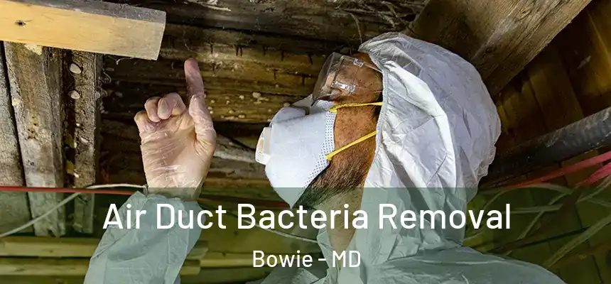  Air Duct Bacteria Removal Bowie - MD