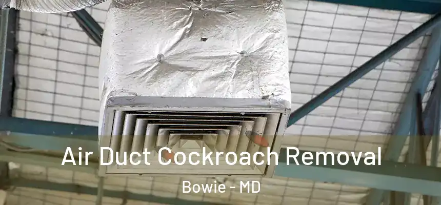  Air Duct Cockroach Removal Bowie - MD