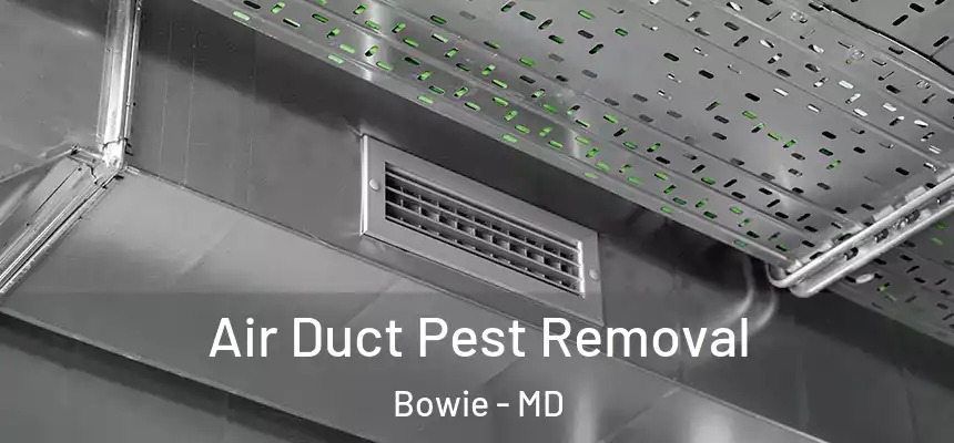  Air Duct Pest Removal Bowie - MD
