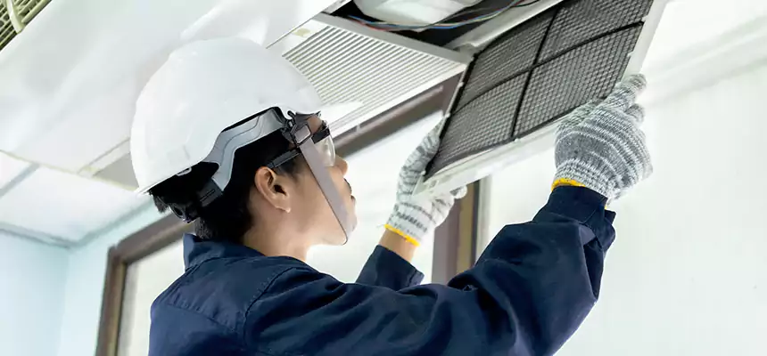 Our Mold & Mildew Removal from Air Ducts Services in Bowie, MD