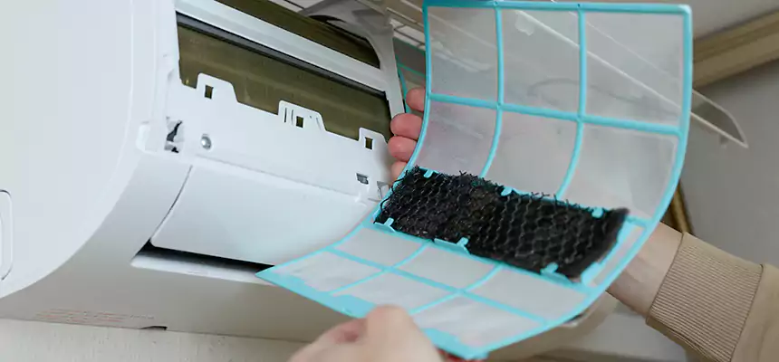 Gentle Ductwork Odor-Control Pet Dander Duct Cleaning in Bowie, MD