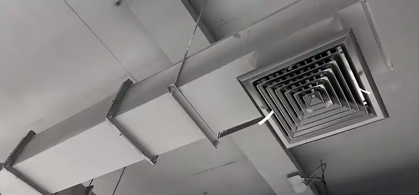 Our Rodent Droppings In Vents Services in Bowie, MD