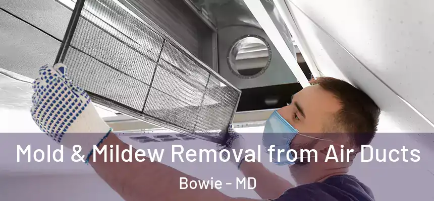  Mold & Mildew Removal from Air Ducts Bowie - MD