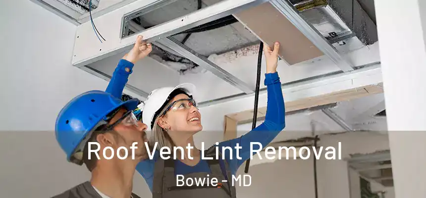  Roof Vent Lint Removal Bowie - MD