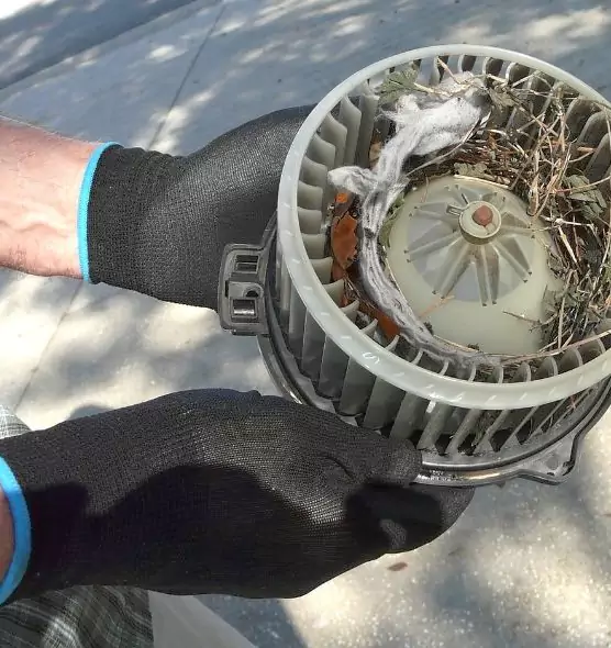 About Air Duct Mice Removal in Bowie, MD