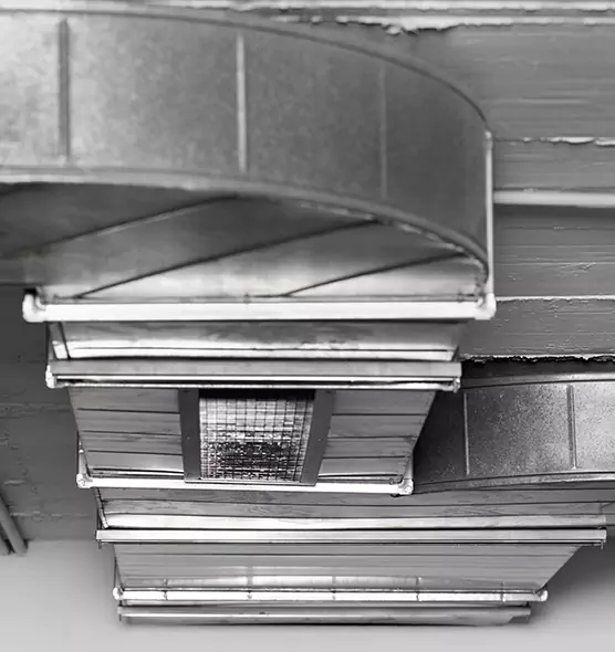 Professional Air Duct Pest Removal in Bowie, MD