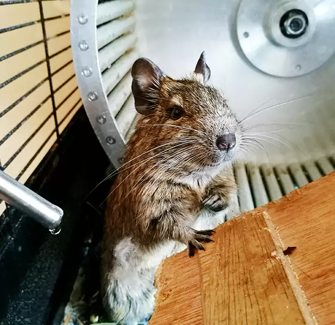 Why Homeowners & Businesses Trust Us Bowie, MD