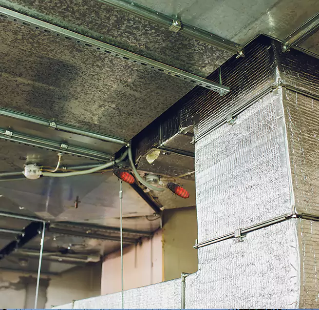 Why Homeowners & Businesses Trust Us Bowie, MD?